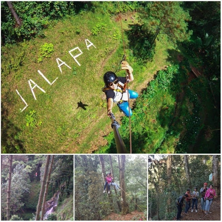 canopy parque tatasirire