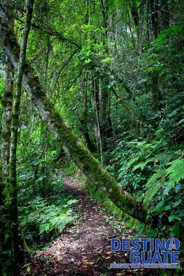 visión parque ecológico cascadas de tatasirire